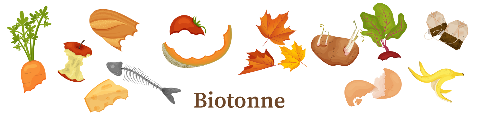Dieser Banner weist auf allgemeine Infos zum Thema Trennung der Biotonne hin 